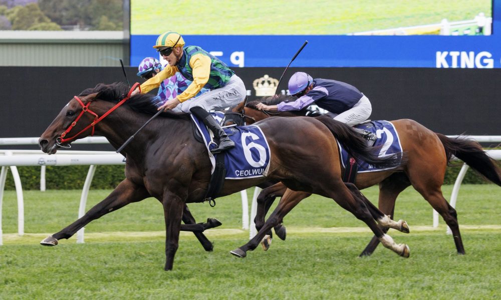 超赛场上的 超赛场上的