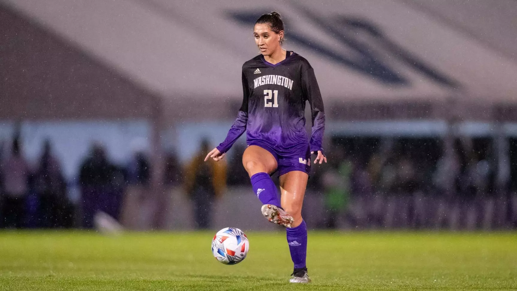 赞助商的力 赞助商的力